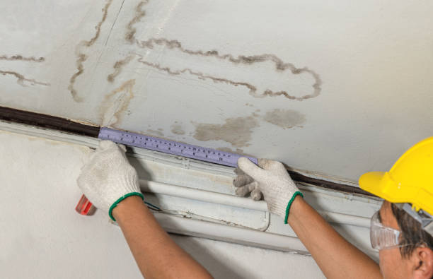 Reliable Structural Drying contractor in Rapid City, MI by Water Damage Irwin